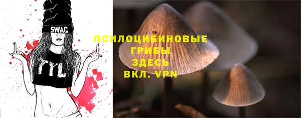 мдпв Богородицк
