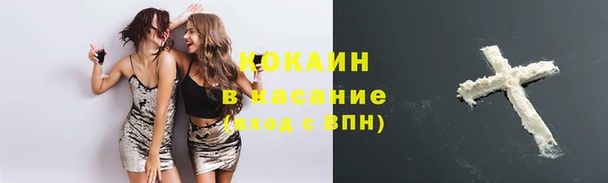мдпв Богородицк