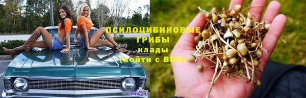 прущая мука Богородск