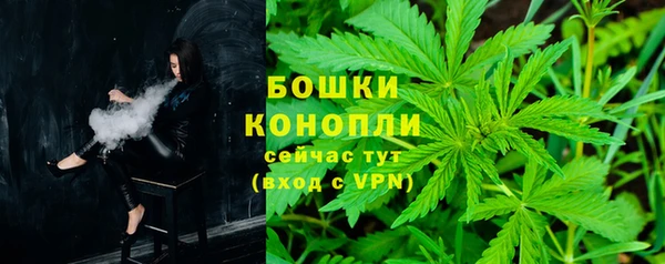 mdpv Богданович