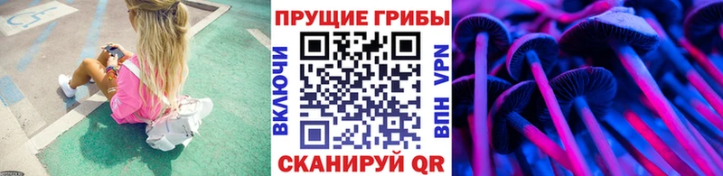 Галлюциногенные грибы MAGIC MUSHROOMS  Купить  Всеволожск 
